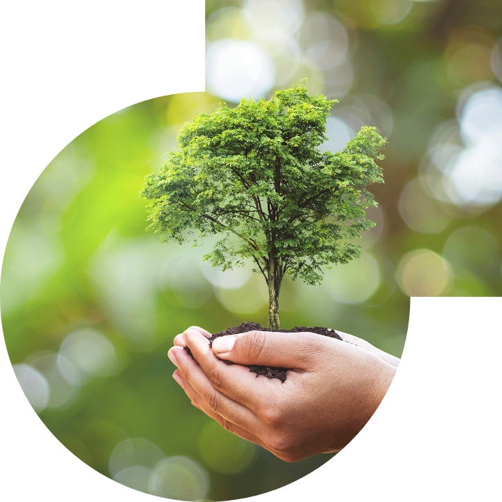 关怀人类、文化、环境与社会